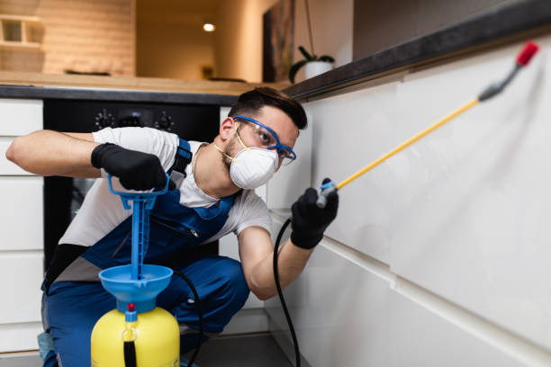 Pest Control for Restaurants in Rockledge, PA