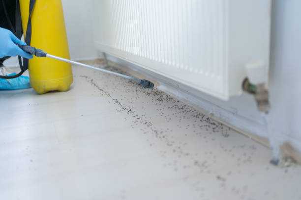 Pest Prevention Services in Rockledge, PA